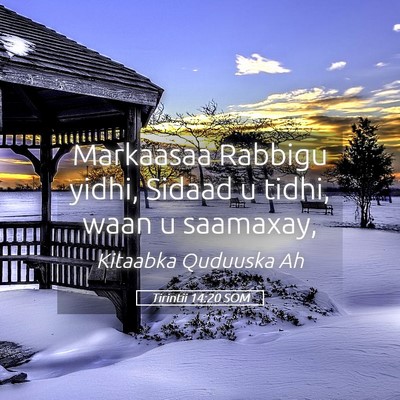 Picture 05 - Tirintii 14:20 SOM - Markaasaa Rabbigu yidhi, Sidaad u tidhi, waan u - Bible Verse Picture