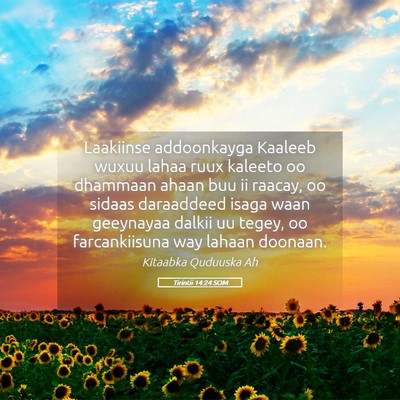 Picture 05 - Tirintii 14:24 SOM - Laakiinse addoonkayga Kaaleeb wuxuu lahaa ruux - Bible Verse Picture