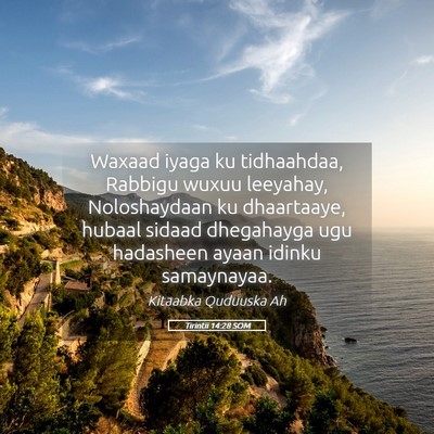 Picture 05 - Tirintii 14:28 SOM - Waxaad iyaga ku tidhaahdaa, Rabbigu wuxuu - Bible Verse Picture
