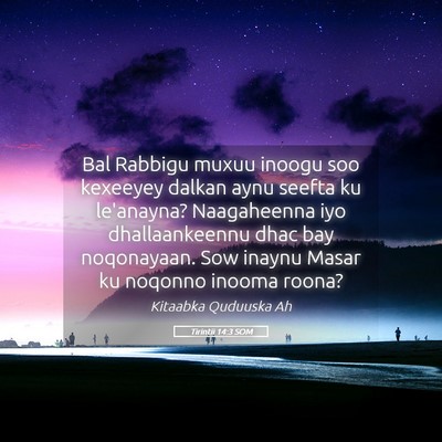 Picture 05 - Tirintii 14:3 SOM - Bal Rabbigu muxuu inoogu soo kexeeyey dalkan aynu - Bible Verse Picture
