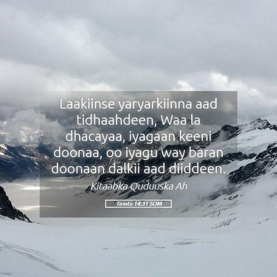 Picture 05 - Tirintii 14:31 SOM - Laakiinse yaryarkiinna aad tidhaahdeen, Waa la - Bible Verse Picture