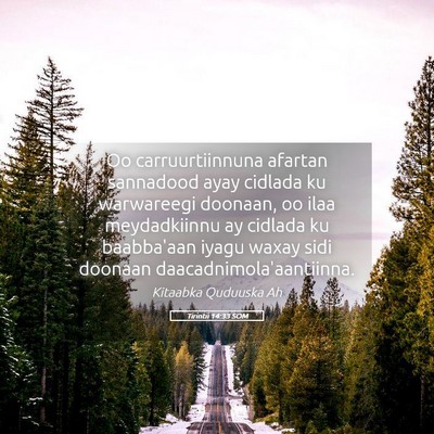 Picture 05 - Tirintii 14:33 SOM - Oo carruurtiinnuna afartan sannadood ayay cidlada - Bible Verse Picture