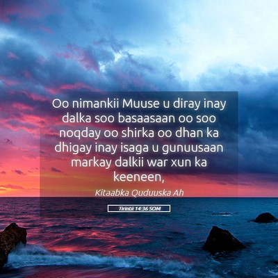 Picture 05 - Tirintii 14:36 SOM - Oo nimankii Muuse u diray inay dalka soo - Bible Verse Picture