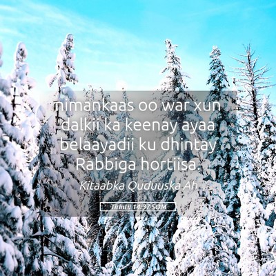 Picture 05 - Tirintii 14:37 SOM - nimankaas oo war xun dalkii ka keenay ayaa - Bible Verse Picture