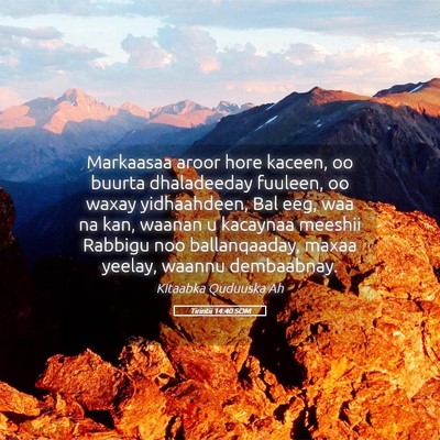 Picture 05 - Tirintii 14:40 SOM - Markaasaa aroor hore kaceen, oo buurta - Bible Verse Picture