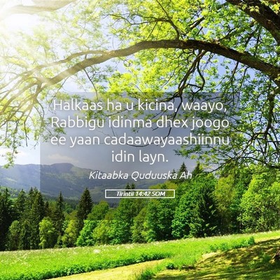 Picture 05 - Tirintii 14:42 SOM - Halkaas ha u kicina, waayo, Rabbigu idinma dhex - Bible Verse Picture