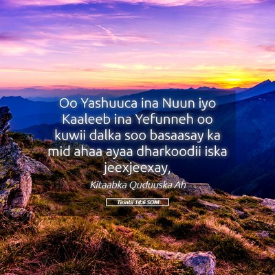 Picture 05 - Tirintii 14:6 SOM - Oo Yashuuca ina Nuun iyo Kaaleeb ina Yefunneh oo - Bible Verse Picture