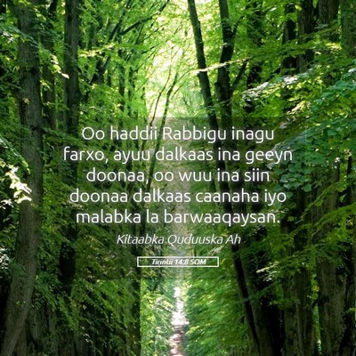 Picture 05 - Tirintii 14:8 SOM - Oo haddii Rabbigu inagu farxo, ayuu dalkaas ina - Bible Verse Picture