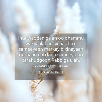 Picture 05 - Tirintii 15:13 SOM - Inta waddaniga ah oo dhammu waxyaalahan sidaas ha - Bible Verse Picture