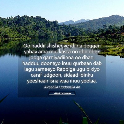 Picture 05 - Tirintii 15:14 SOM - Oo haddii shisheeye idinla deggan yahay ama mid - Bible Verse Picture