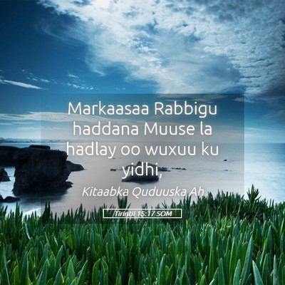 Picture 05 - Tirintii 15:17 SOM - Markaasaa Rabbigu haddana Muuse la hadlay oo - Bible Verse Picture