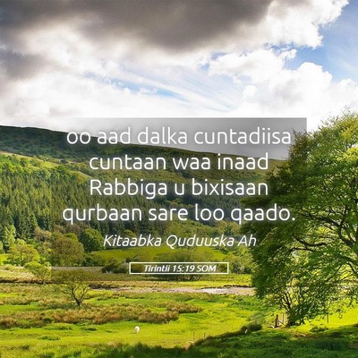 Picture 05 - Tirintii 15:19 SOM - oo aad dalka cuntadiisa cuntaan waa inaad Rabbiga - Bible Verse Picture