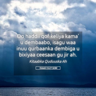 Picture 05 - Tirintii 15:27 SOM - Oo haddii qof keliya kama' u dembaabo, isagu waa - Bible Verse Picture