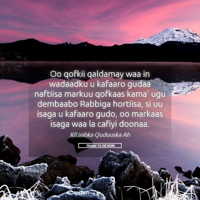 Picture 05 - Tirintii 15:28 SOM - Oo qofkii qaldamay waa in wadaadku u kafaaro - Bible Verse Picture