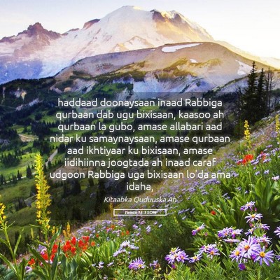 Picture 05 - Tirintii 15:3 SOM - haddaad doonaysaan inaad Rabbiga qurbaan dab ugu - Bible Verse Picture