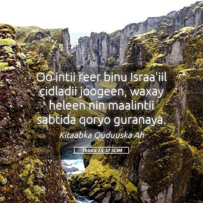 Picture 05 - Tirintii 15:32 SOM - Oo intii reer binu Israa'iil cidladii joogeen, - Bible Verse Picture