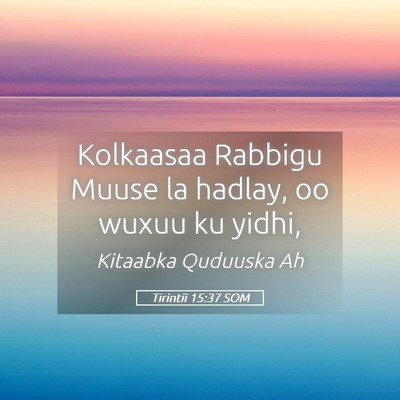 Picture 05 - Tirintii 15:37 SOM - Kolkaasaa Rabbigu Muuse la hadlay, oo wuxuu ku - Bible Verse Picture