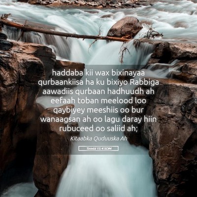 Picture 05 - Tirintii 15:4 SOM - haddaba kii wax bixinayaa qurbaankiisa ha ku - Bible Verse Picture