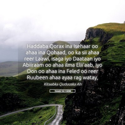 Picture 05 - Tirintii 16:1 SOM - Haddaba Qorax ina Isehaar oo ahaa ina Qohaad, oo - Bible Verse Picture