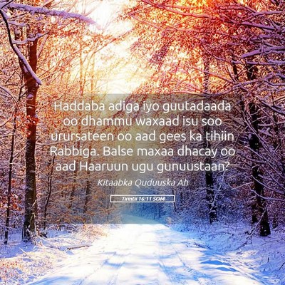 Picture 05 - Tirintii 16:11 SOM - Haddaba adiga iyo guutadaada oo dhammu waxaad isu - Bible Verse Picture