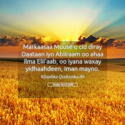 Picture 05 - Tirintii 16:12 SOM - Markaasaa Muuse u cid diray Daataan iyo Abiiraam - Bible Verse Picture