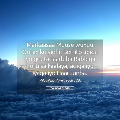 Picture 05 - Tirintii 16:16 SOM - Markaasaa Muuse wuxuu Qorax ku yidhi, Berrito - Bible Verse Picture
