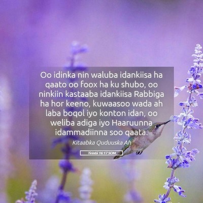 Picture 05 - Tirintii 16:17 SOM - Oo idinka nin waluba idankiisa ha qaato oo foox - Bible Verse Picture