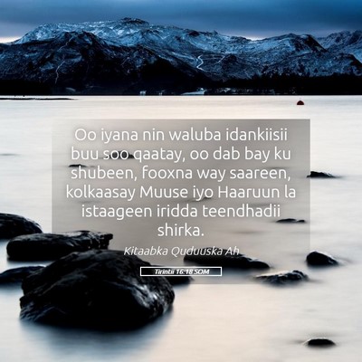 Picture 05 - Tirintii 16:18 SOM - Oo iyana nin waluba idankiisii buu soo qaatay, oo - Bible Verse Picture