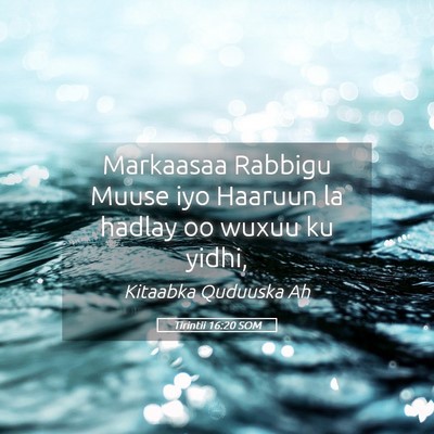 Picture 05 - Tirintii 16:20 SOM - Markaasaa Rabbigu Muuse iyo Haaruun la hadlay oo - Bible Verse Picture