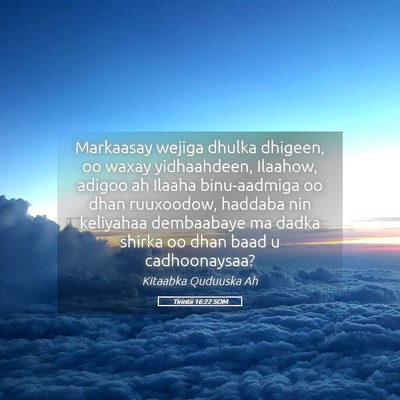 Picture 05 - Tirintii 16:22 SOM - Markaasay wejiga dhulka dhigeen, oo waxay - Bible Verse Picture