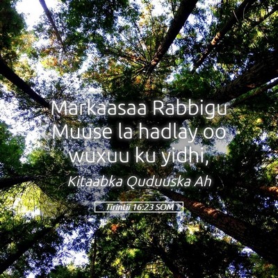 Picture 05 - Tirintii 16:23 SOM - Markaasaa Rabbigu Muuse la hadlay oo wuxuu ku - Bible Verse Picture