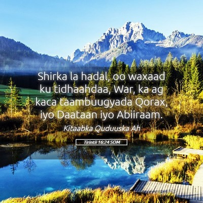 Picture 05 - Tirintii 16:24 SOM - Shirka la hadal, oo waxaad ku tidhaahdaa, War, ka - Bible Verse Picture