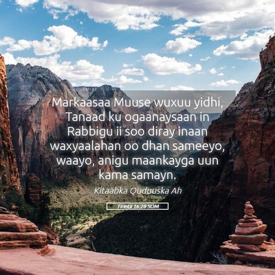 Picture 05 - Tirintii 16:28 SOM - Markaasaa Muuse wuxuu yidhi, Tanaad ku - Bible Verse Picture