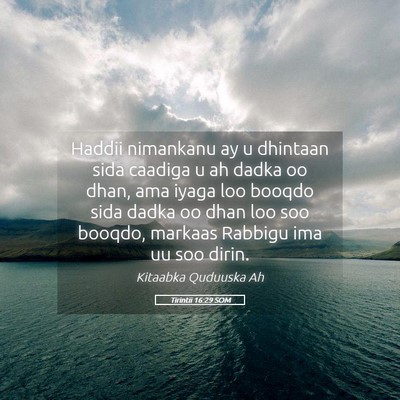 Picture 05 - Tirintii 16:29 SOM - Haddii nimankanu ay u dhintaan sida caadiga u ah - Bible Verse Picture