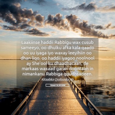 Picture 05 - Tirintii 16:30 SOM - Laakiinse haddii Rabbigu wax cusub sameeyo, oo - Bible Verse Picture