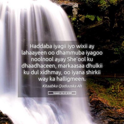 Picture 05 - Tirintii 16:33 SOM - Haddaba iyagii iyo wixii ay lahaayeen oo dhammuba - Bible Verse Picture