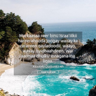 Picture 05 - Tirintii 16:34 SOM - Markaasaa reer binu Israa'iilkii hareerahooda - Bible Verse Picture