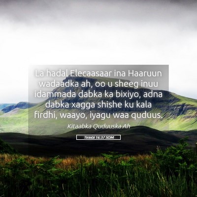 Picture 05 - Tirintii 16:37 SOM - La hadal Elecaasaar ina Haaruun wadaadka ah, oo u - Bible Verse Picture