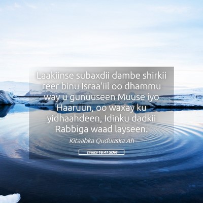 Picture 05 - Tirintii 16:41 SOM - Laakiinse subaxdii dambe shirkii reer binu - Bible Verse Picture