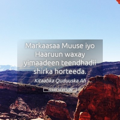 Picture 05 - Tirintii 16:43 SOM - Markaasaa Muuse iyo Haaruun waxay yimaadeen - Bible Verse Picture