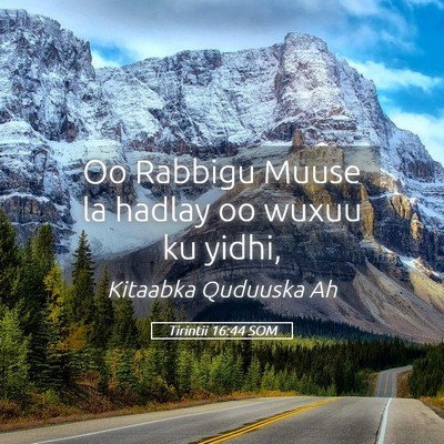 Picture 05 - Tirintii 16:44 SOM - Oo Rabbigu Muuse la hadlay oo wuxuu ku - Bible Verse Picture
