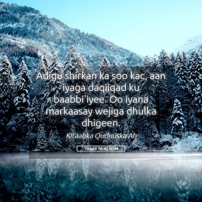 Picture 05 - Tirintii 16:45 SOM - Adigu shirkan ka soo kac, aan iyaga daqiiqad ku - Bible Verse Picture