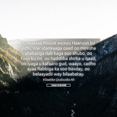 Picture 05 - Tirintii 16:46 SOM - Kolkaasaa Muuse wuxuu Haaruun ku yidhi, War - Bible Verse Picture