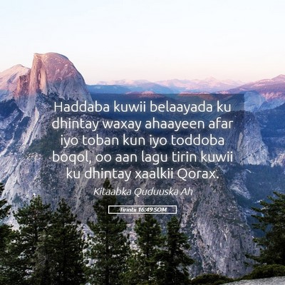 Picture 05 - Tirintii 16:49 SOM - Haddaba kuwii belaayada ku dhintay waxay ahaayeen - Bible Verse Picture