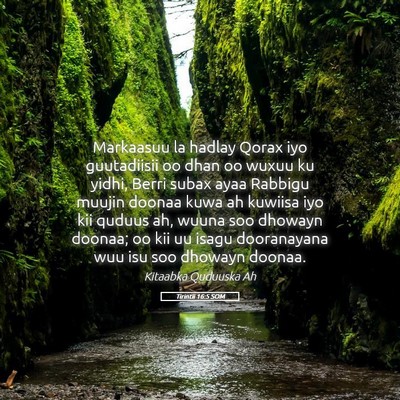 Picture 05 - Tirintii 16:5 SOM - Markaasuu la hadlay Qorax iyo guutadiisii oo dhan - Bible Verse Picture