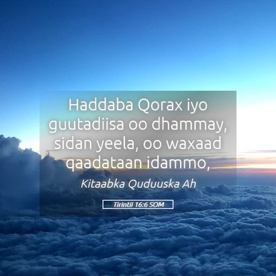 Picture 05 - Tirintii 16:6 SOM - Haddaba Qorax iyo guutadiisa oo dhammay, sidan - Bible Verse Picture