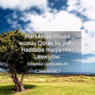 Picture 05 - Tirintii 16:8 SOM - Markaasaa Muuse wuxuu Qorax ku yidhi, Haddaba - Bible Verse Picture