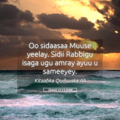 Picture 05 - Tirintii 17:11 SOM - Oo sidaasaa Muuse yeelay. Sidii Rabbigu isaga ugu - Bible Verse Picture