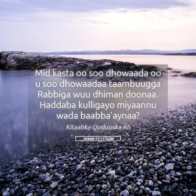 Picture 05 - Tirintii 17:13 SOM - Mid kasta oo soo dhowaada oo u soo dhowaadaa - Bible Verse Picture