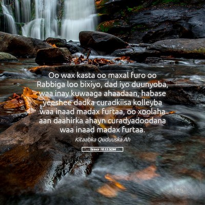 Picture 05 - Tirintii 18:15 SOM - Oo wax kasta oo maxal furo oo Rabbiga loo bixiyo, - Bible Verse Picture